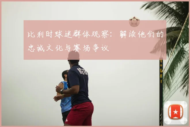 比利时球迷群体观察:解读他们的忠诚文化与赛场争议