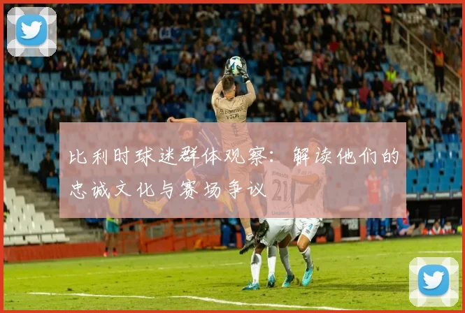 比利时球迷群体观察:解读他们的忠诚文化与赛场争议